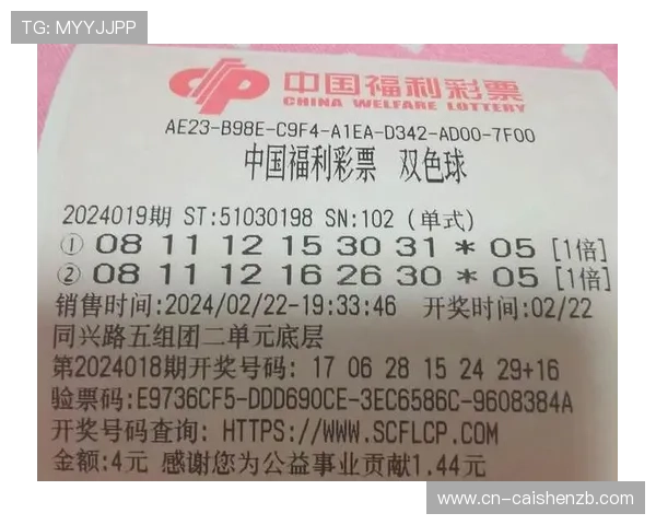 彩票投注策略与数据分析结合提升选号准确率实战经验分享指南技巧 彩票投注策略与数据分析结合提升选号准确率实战经验分享指南技巧