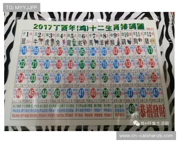 香港六合彩号码走势深度解析与热门选号技巧实战经验分享指南大全